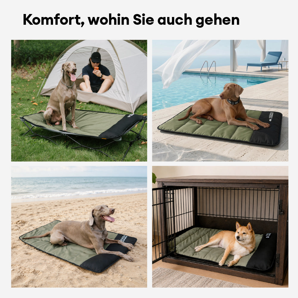 Transportable wasserdichte Outdoor Hundematte - Urbanes Umherstreifen