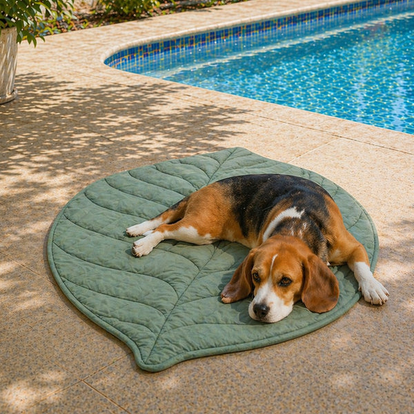 Outdoor Hochwertige und dekorative Hundedecke in Blattform
