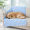 Kühldecke Hund – Doppelseitige Kühlende Sommerdecke für Mensch und Hund - Chill Nest