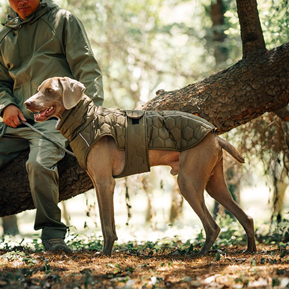 Gesteppte Outdoor-Hundeweste – warm und strapazierfähig für Wanderungen und Abenteuer