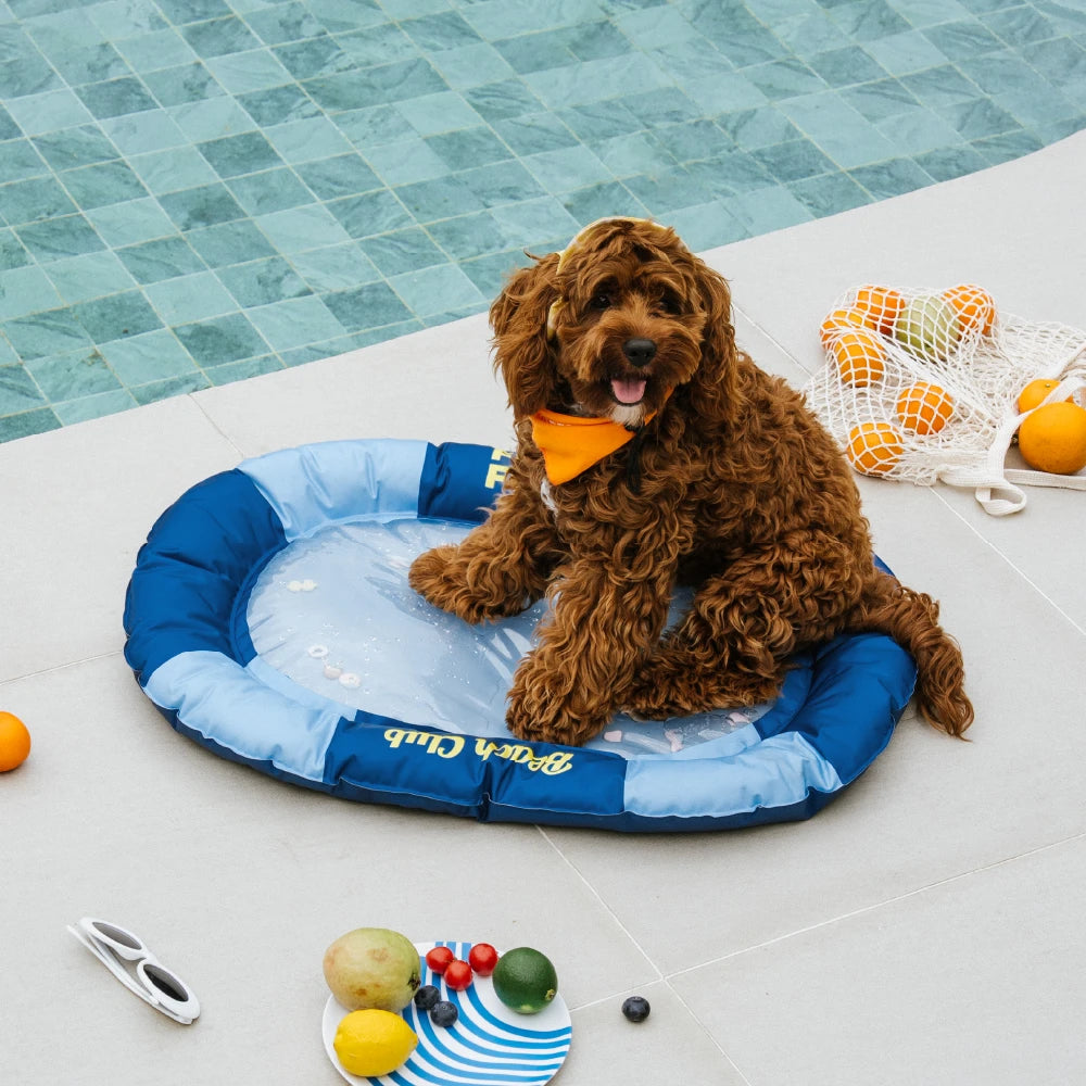 Wassergefüllte Kühlmatte für Hunde - Chill Nest