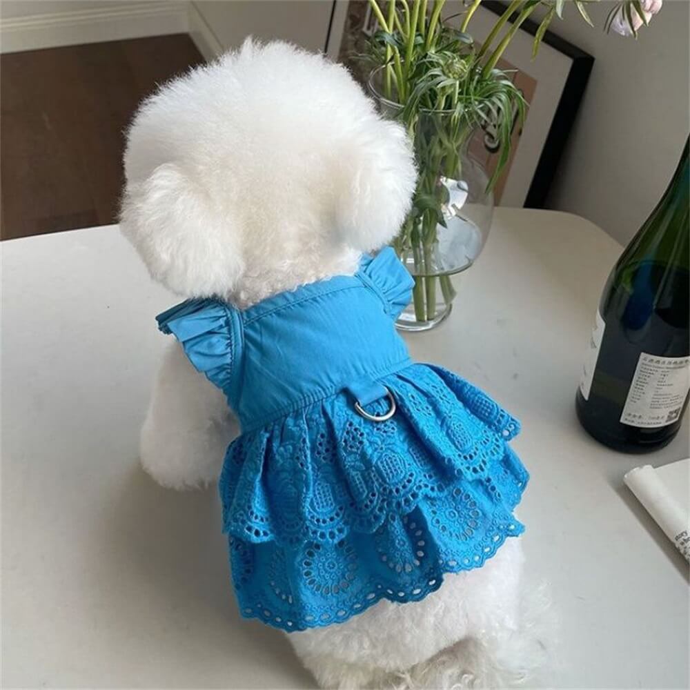 Stilvolles Hundekleid aus blauer und rosa Spitze – perfekt für besondere Anlässe