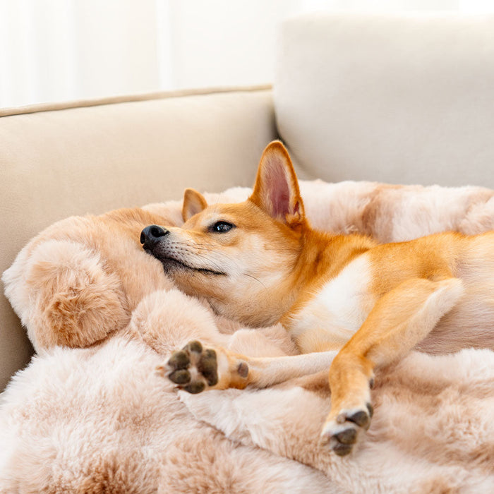 Flauschiges Beruhigendes Sofaschutz Hundebett Haustiermatte - Bundel