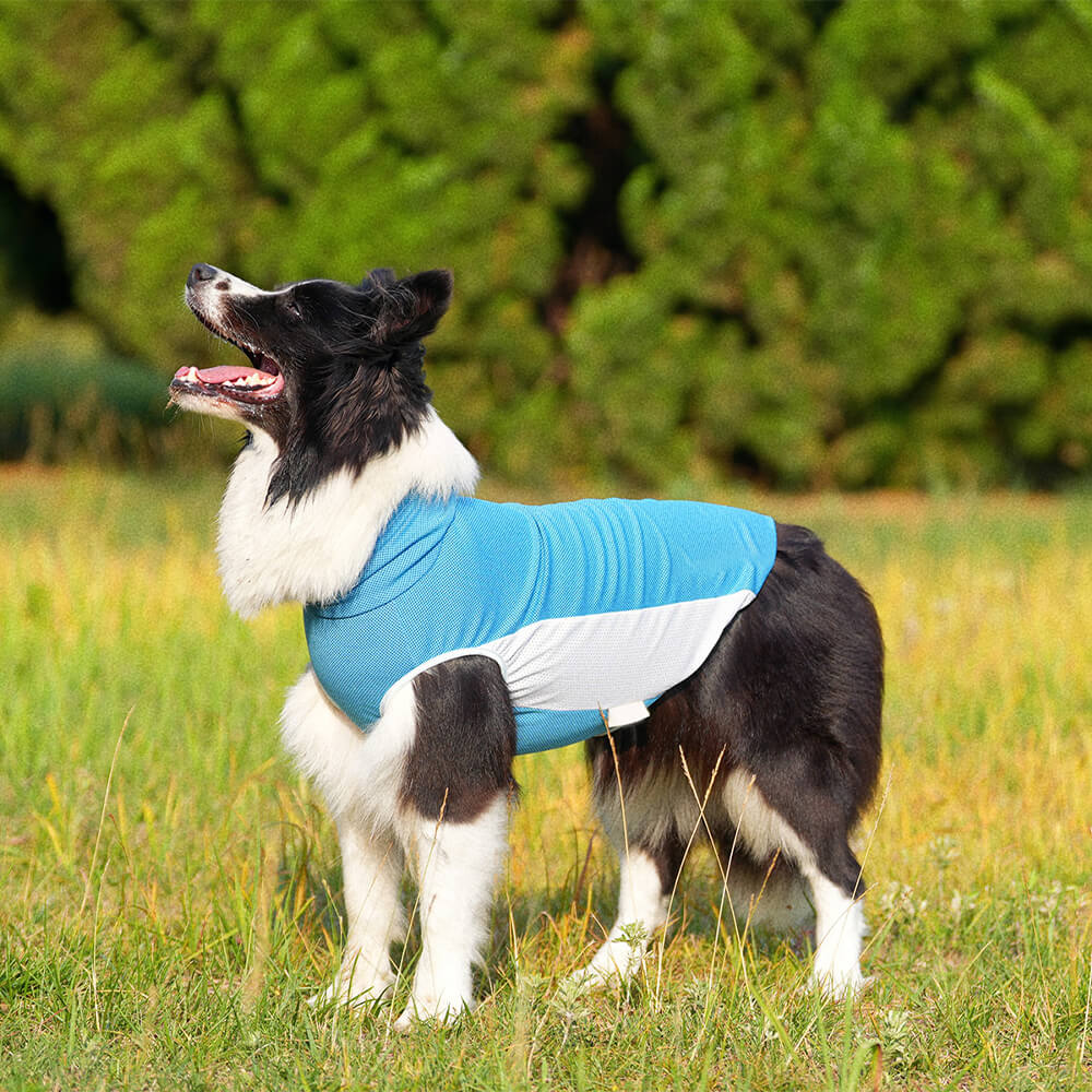 Haustier Kleidung Outdoor Kontrast Farbe Sonnenhut & Kühlung Sonne Tank Weste