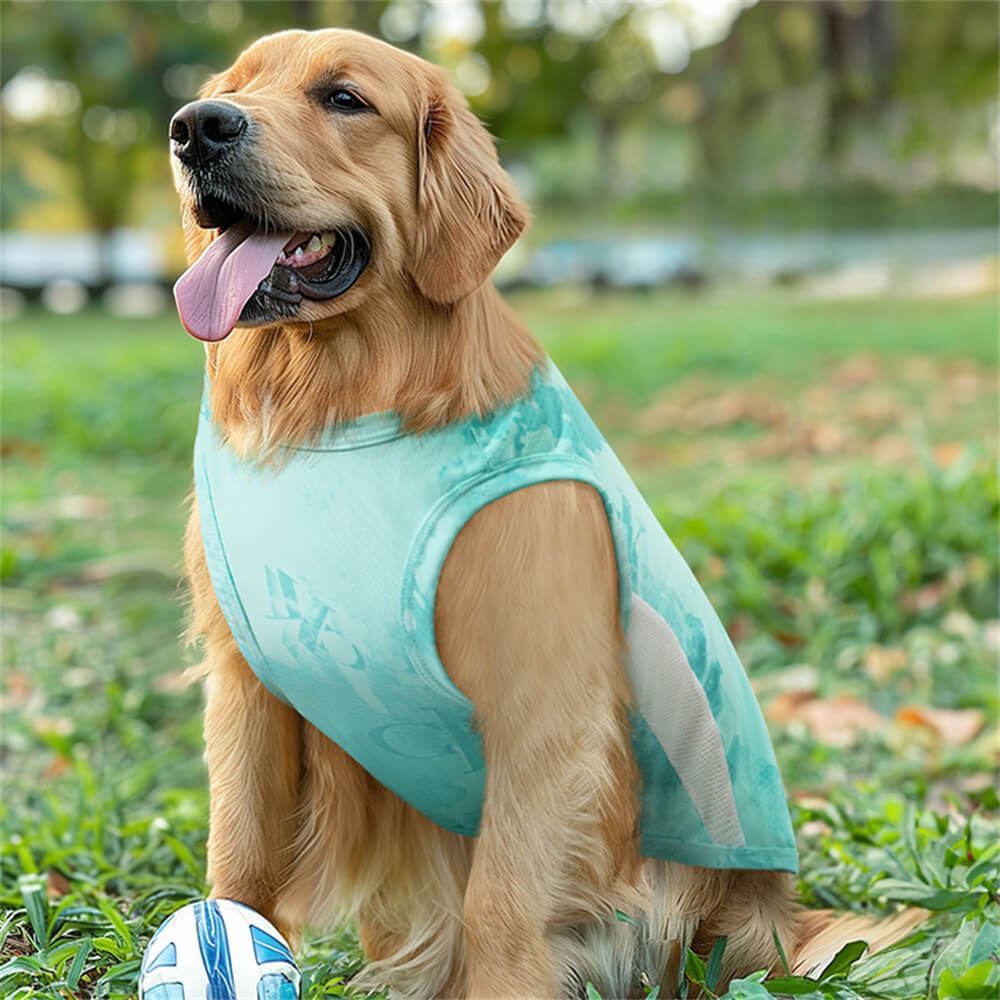 Kühlweste für den Sommer bei großen Hunden – Dünne Eisseide Atmungsaktive Leichte Sportbekleidung