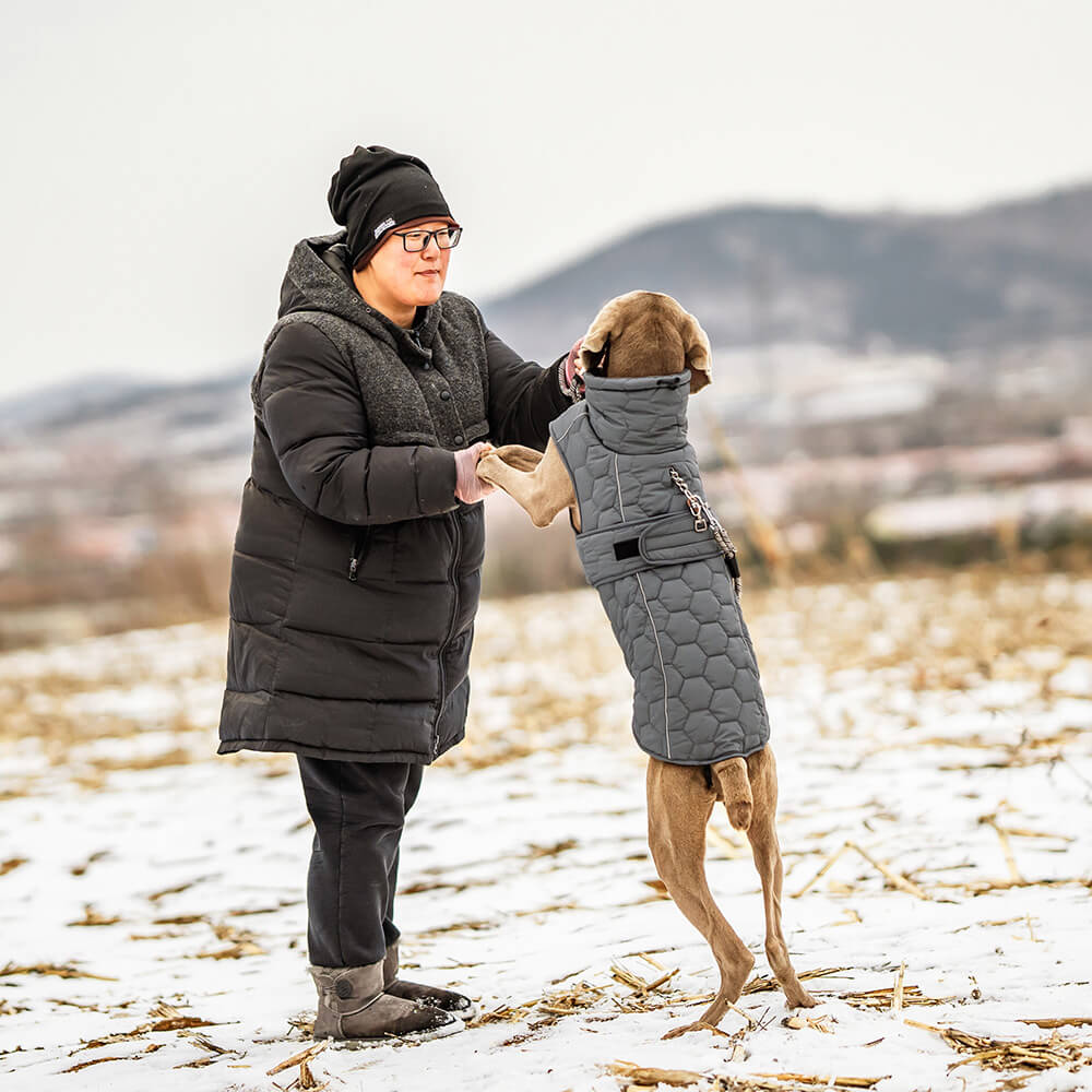 Gesteppte Outdoor-Hundeweste – warm und strapazierfähig für Wanderungen und Abenteuer