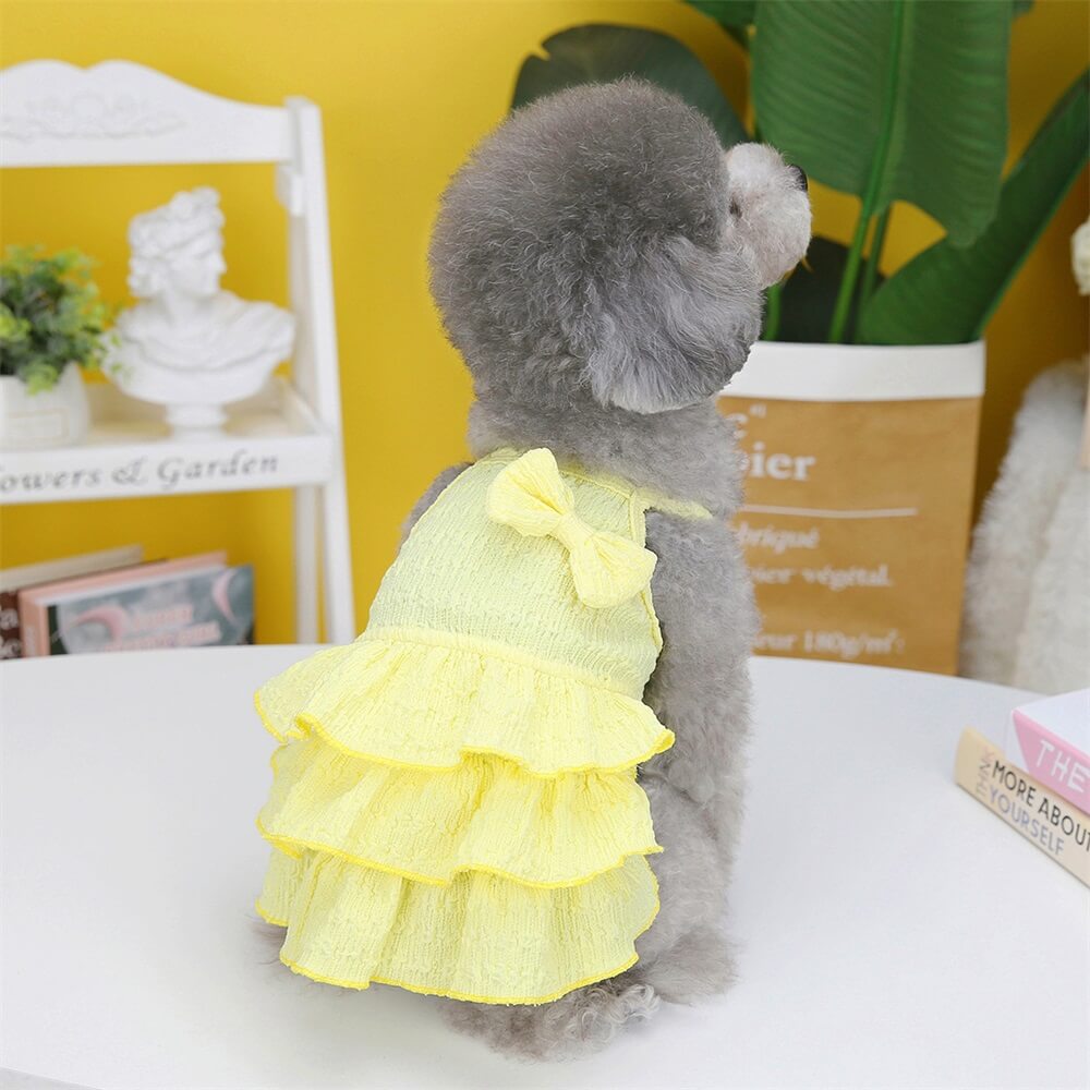 Entzückendes Hundekleid mit Rüschen und Schleife – perfekt für Sommerausflüge