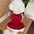 Samtrotte Hundekleid – Perfekt für besondere Anlässe!