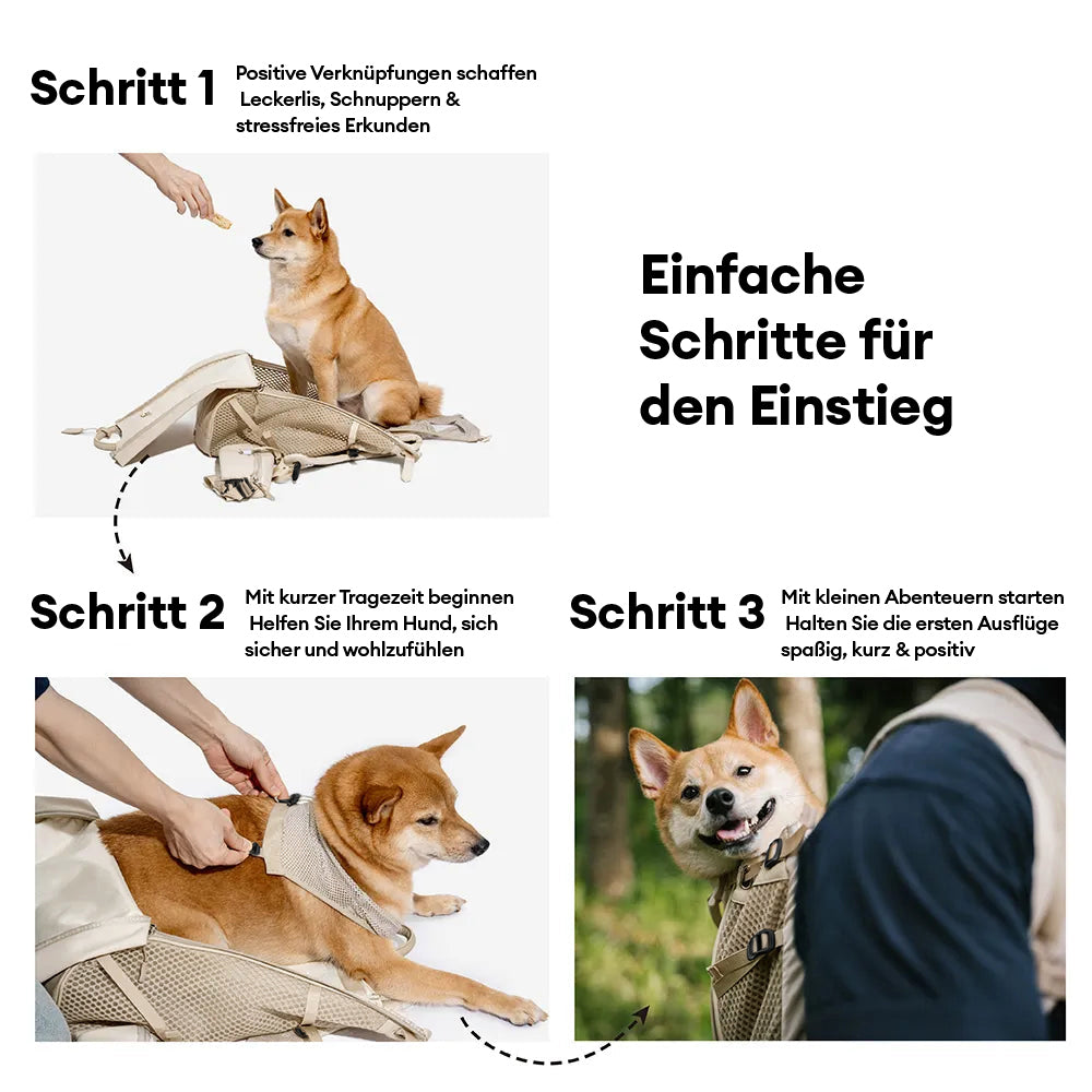 Hundetransport-Rucksack - Urbanes Herumstreifen
