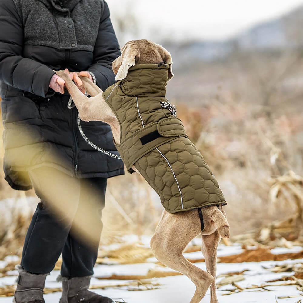 Gesteppte Outdoor-Hundeweste – warm und strapazierfähig für Wanderungen und Abenteuer