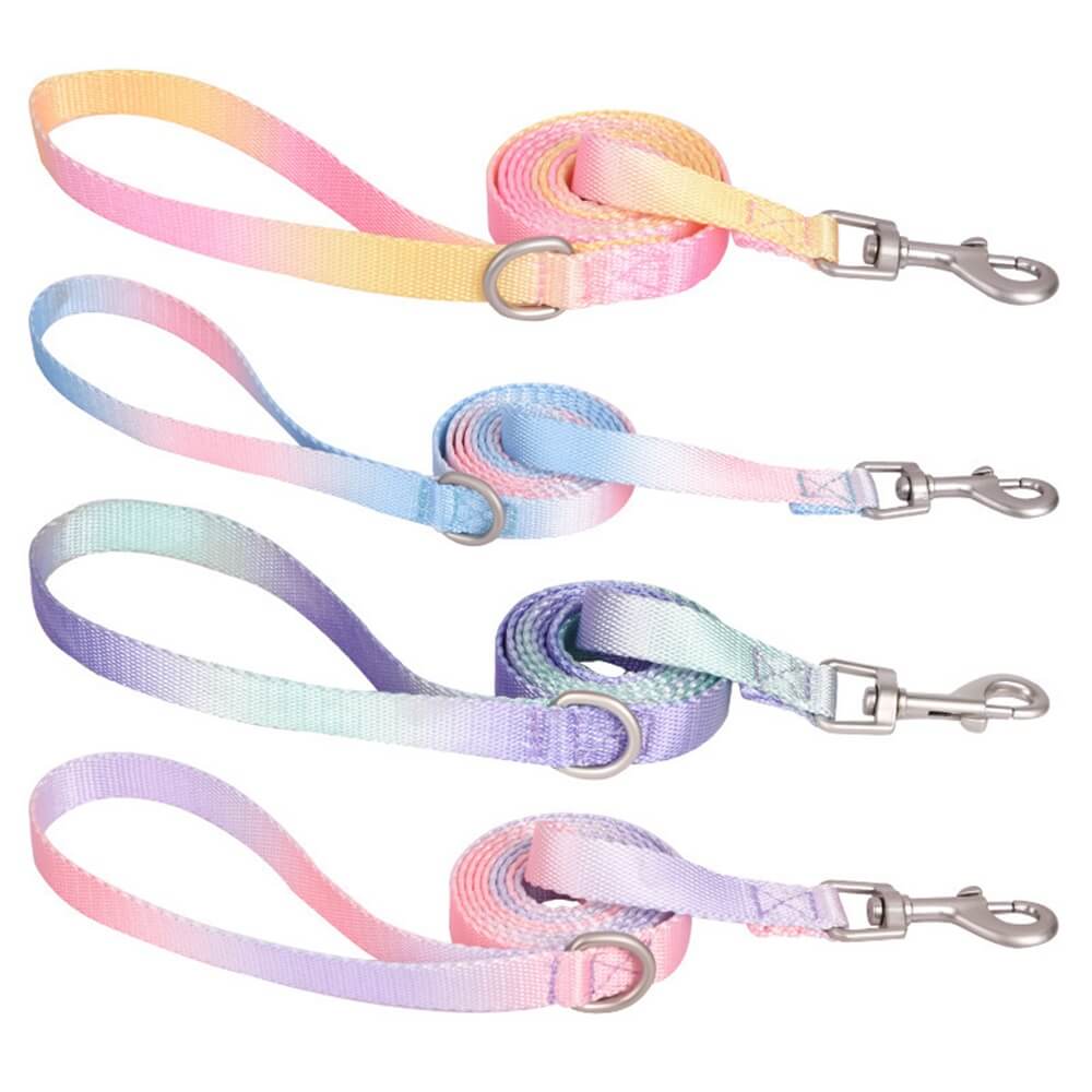 Verstellbares Hundehalsband und Leine aus Nylon mit Farbverlauf und Macaron-Schnalle