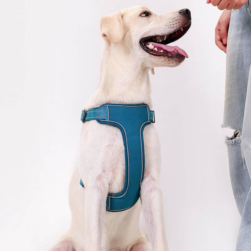 Verstellbares, atmungsaktives Anti-Pull-Hundegeschirr mit freihändiger Leine