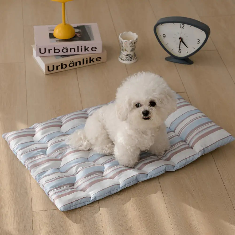 Ganzjahres-atmungsaktives doppelseitiges Nackenstützkissen Hundebett