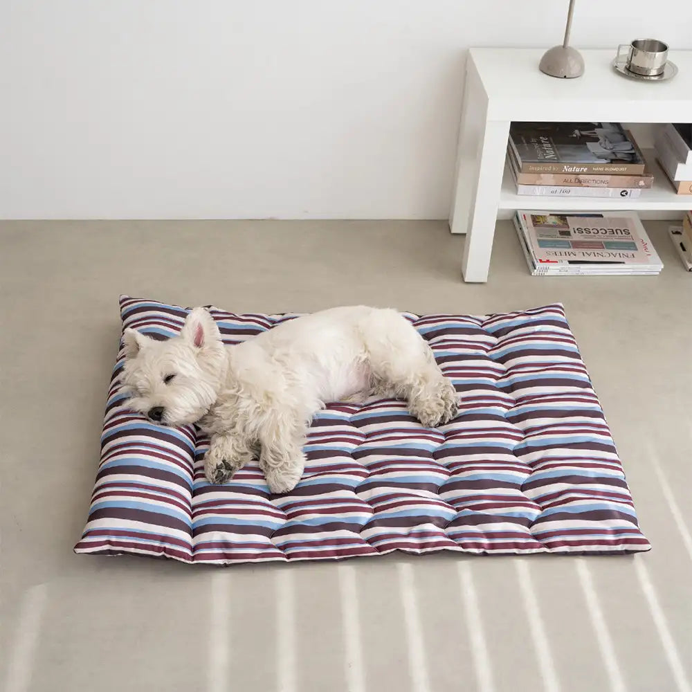 Ganzjahres-atmungsaktives doppelseitiges Nackenstützkissen Hundebett