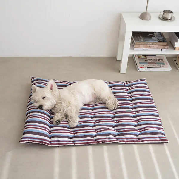 Ganzjahres-atmungsaktives doppelseitiges Nackenstützkissen Hundebett