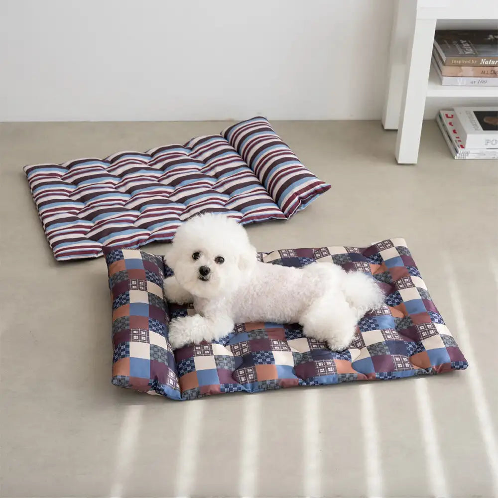 Ganzjahres-atmungsaktives doppelseitiges Nackenstützkissen Hundebett