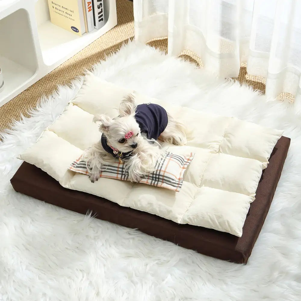 All-in-One Multifunktionales wasserabweisendes Komfort-Hundebett mit Kissen