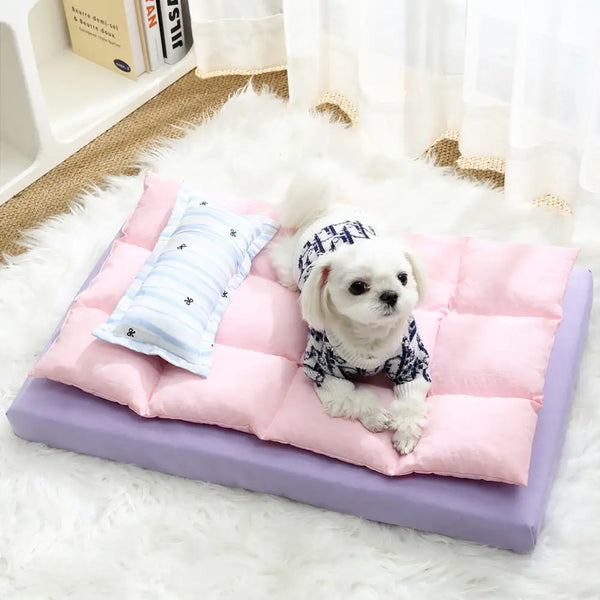 All-in-One Multifunktionales wasserabweisendes Komfort-Hundebett mit Kissen