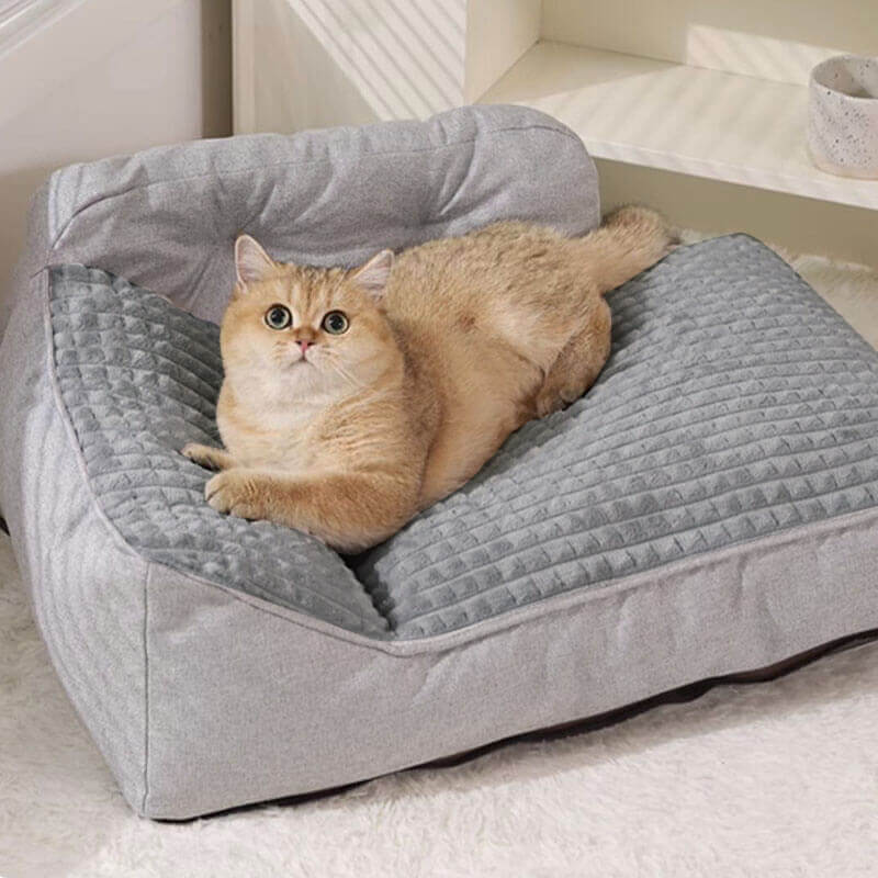 Grand lit d'oreiller lavable et épais pour chat et chien, toutes saisons