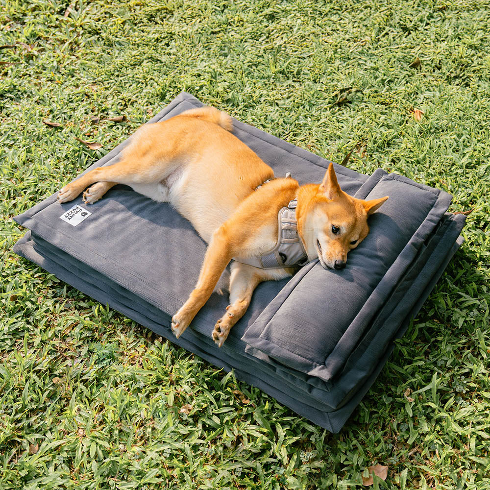 Anti-Angst mit Schwammunterstützung Tiefschlafendes Hundebett