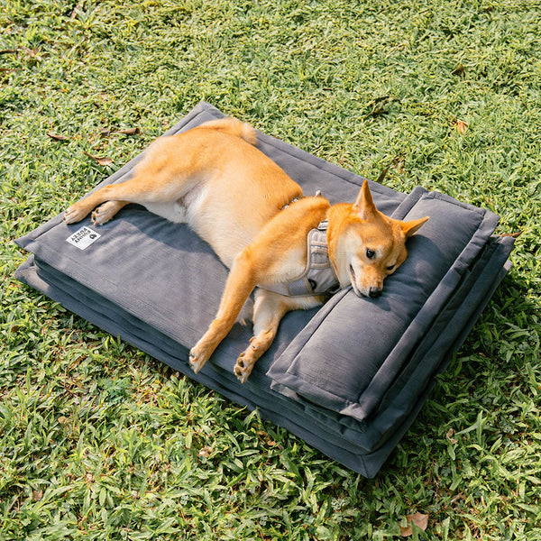 Anti-Angst mit Schwammunterstützung Tiefschlafendes Hundebett