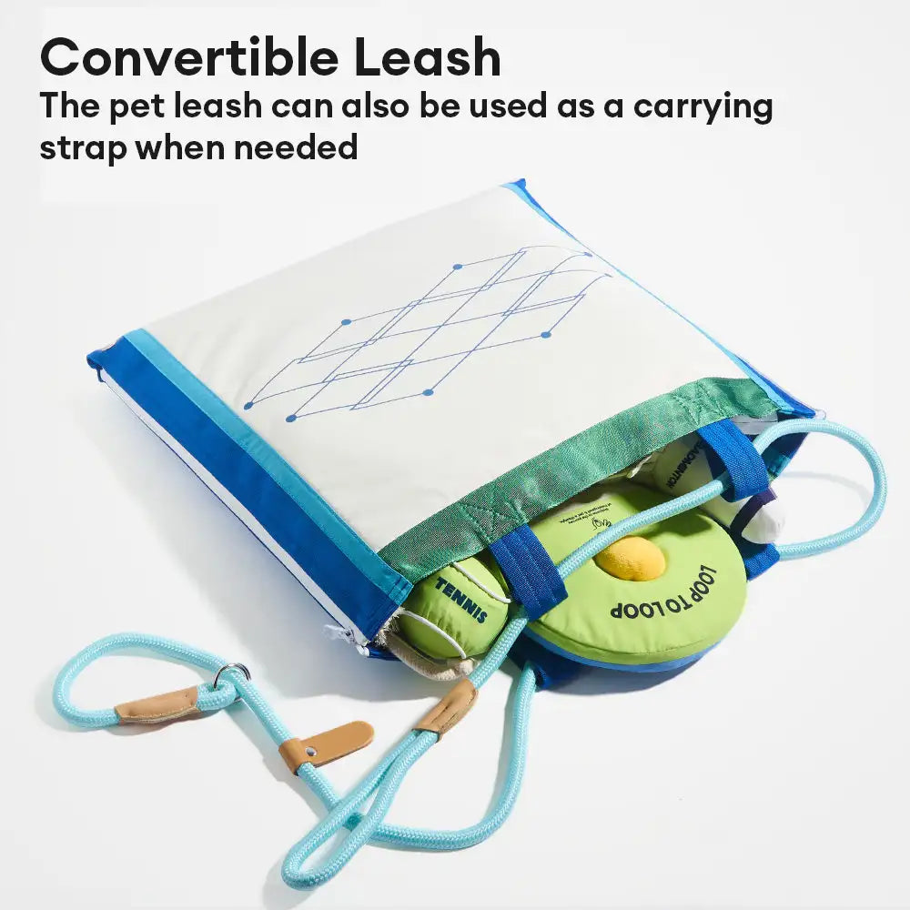 Strandspaß-Serie Ball Bildungs-Interaktive Hundespielzeuge