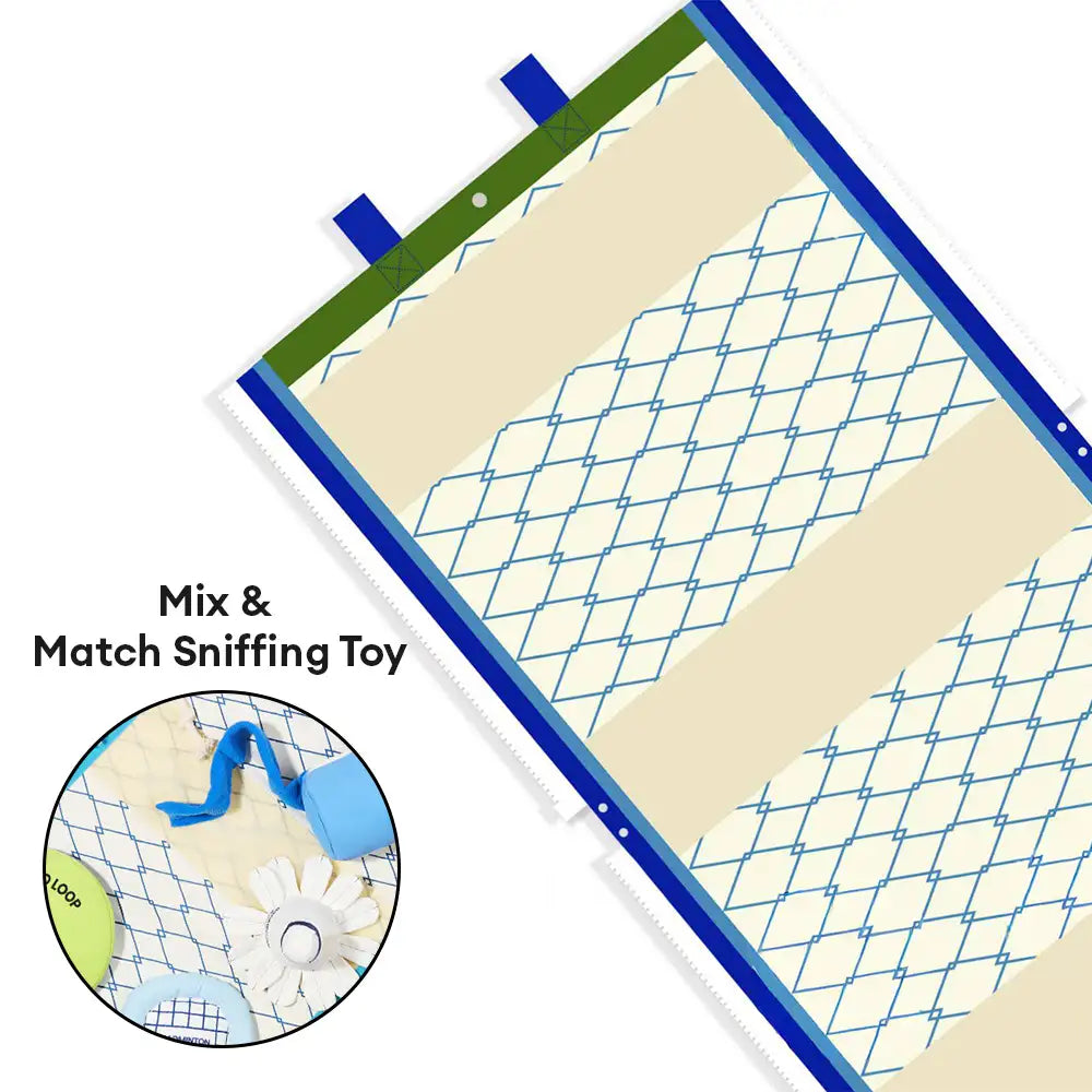 Strandspaß-Serie Ball Bildungs-Interaktive Hundespielzeuge