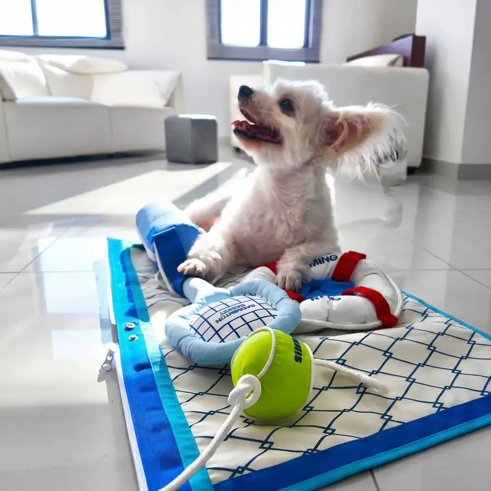 Strandspaß-Serie Ball Bildungs-Interaktive Hundespielzeuge