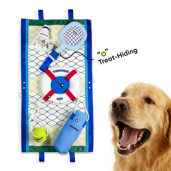 Strandspaß-Serie Ball Bildungs-Interaktive Hundespielzeuge