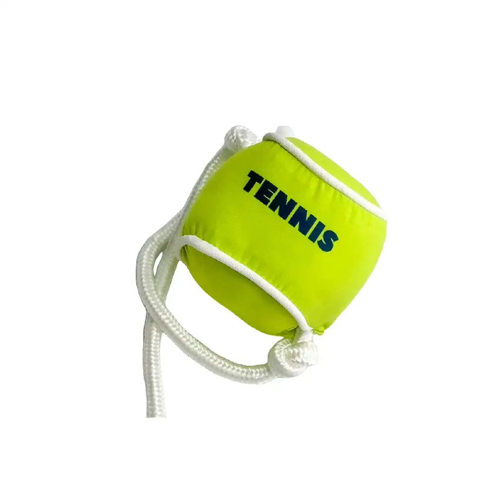 Strandspaß-Serie Ball Bildungs-Interaktive Hundespielzeuge