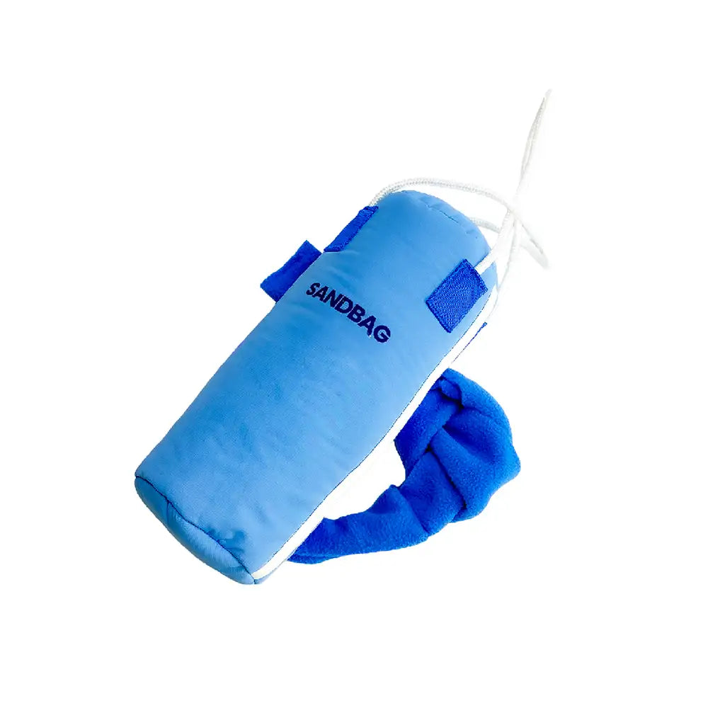 Strandspaß-Serie Ball Bildungs-Interaktive Hundespielzeuge