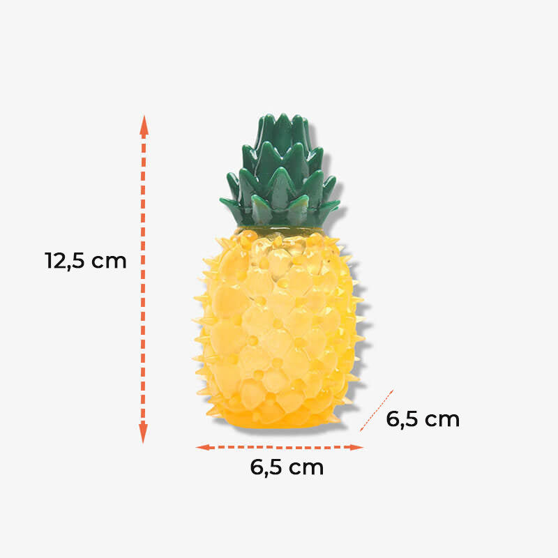 Beißspielzeug aus Gummi mit Wasserfüllung in Form einer gefrorenen Frucht für Hunde