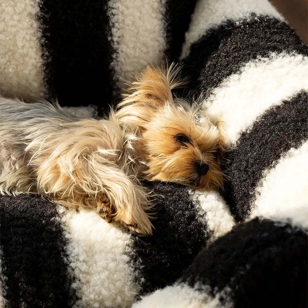 Weiches Hund- und Katzensofa aus schwarzer und weißer Faux-Lammwolle – Winter Klaviertasten