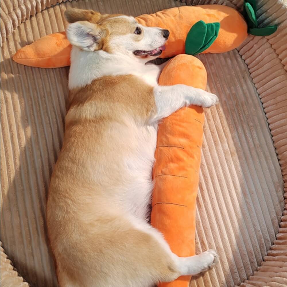 Jouet interactif en peluche grinçant pour chien, carotte
