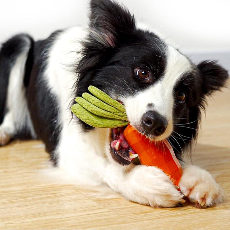 Karotten-Quietschspielzeug, langlebiges Kauspielzeug für Hunde