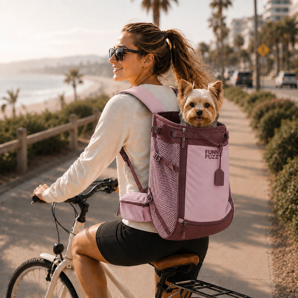 Hundetransport-Rucksack - Urbanes Herumstreifen