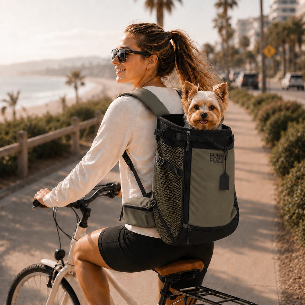 Hundetransport-Rucksack - Urbanes Herumstreifen