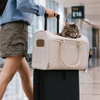Katze Airline-konforme weiche Trageboxen - Urbanes Herumwandern