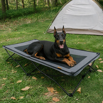 Klappbares erhöhtes Hundebett - Urban Roaming