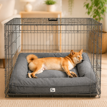 Vollständig orthopädische Umgebungsunterstützung wasserdichtes großes Hundebett für die Hundebox