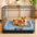 Wasserfestes und bissfestes Memory-Schaum-Orthopädisches Hundematte für die Hundebox