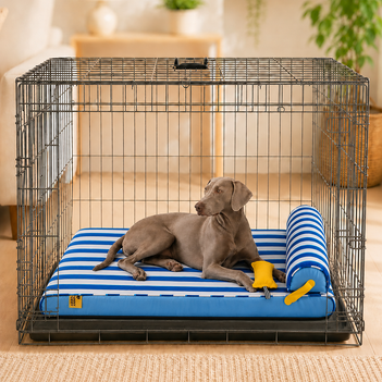 Kühlendes orthopädisches Hundebett für die Hundebox