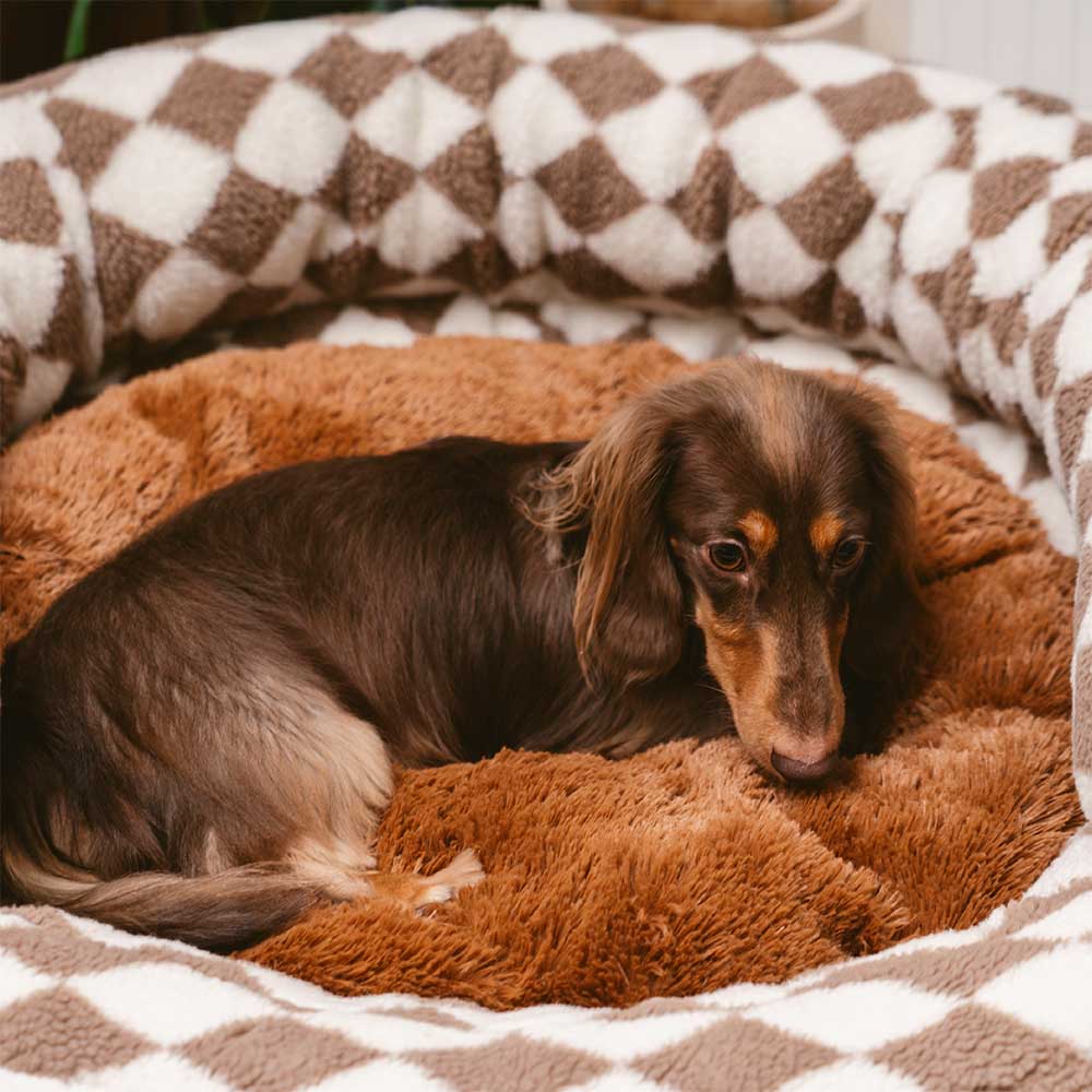 Klassisches Waschbares Hundebett mit Nackenrolle im Argyle-Stil in Donut-Form - Cozy Haven