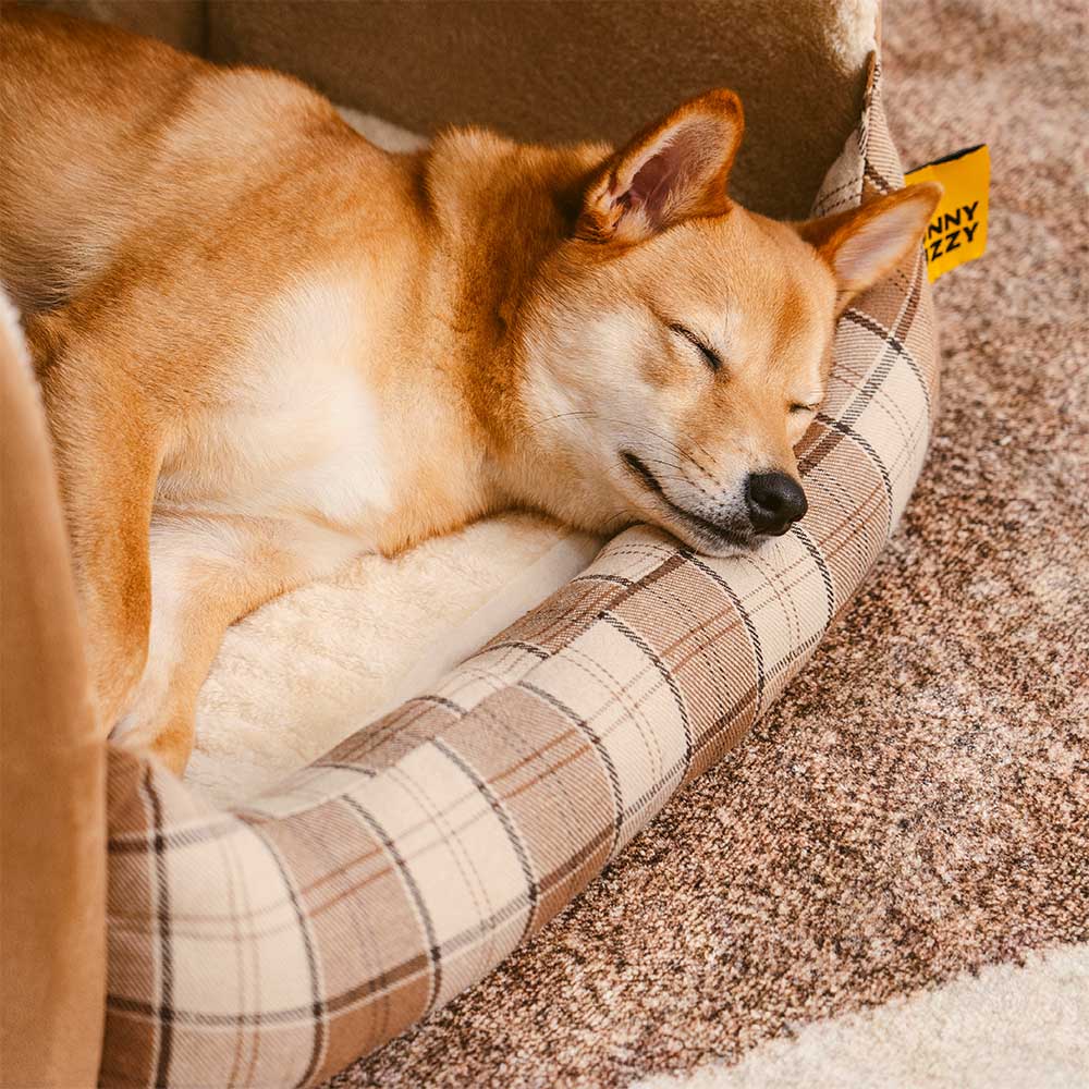 Klassisches Plaid-Haus orthopädisches Hundebett - Rückzugshütte