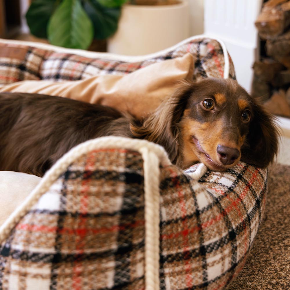 Klassisches Beruhigendes Hundebett im Retro-Karomuster mit abnehmbarer Nackenrolle - Nostalgic Retreat
