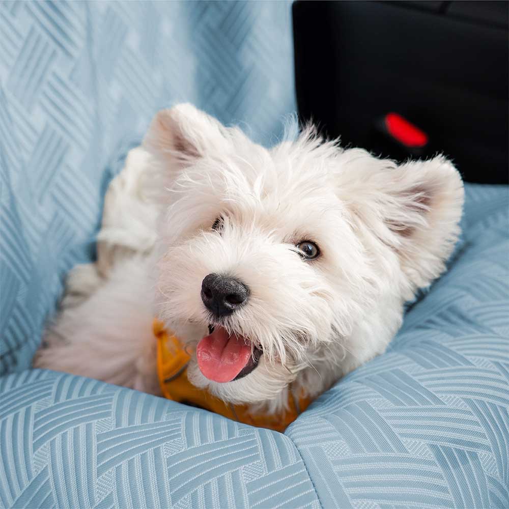 Kühlende Reiseunterlage Sicherheitsrückenlehne großes Hundecar-Seat-Bett - Roadtrip