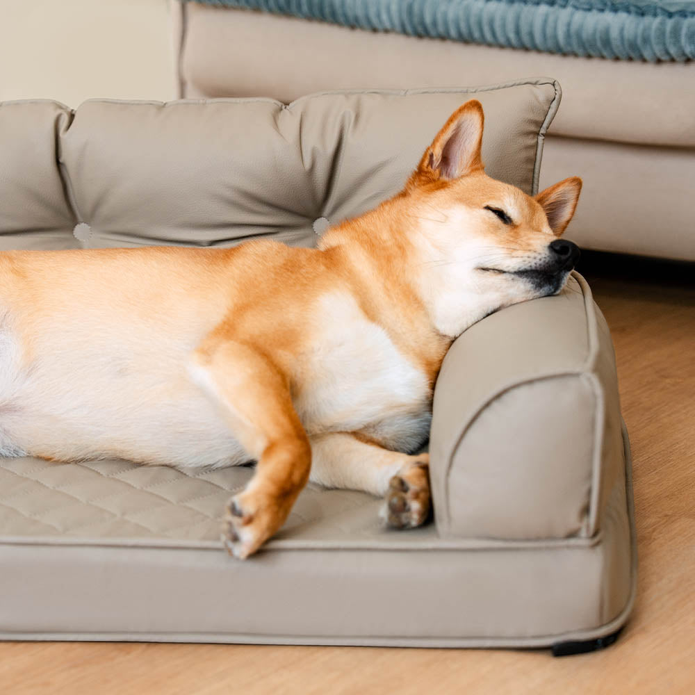 Luxe Kunstleder Faltbares Orthopädisches Großes Hundebett - Outdoor