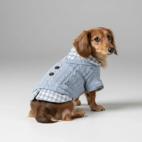 Gemütlicher gestrickter Hundepullover mit kariertem Kragen – Erhältlich in Pink und Blau