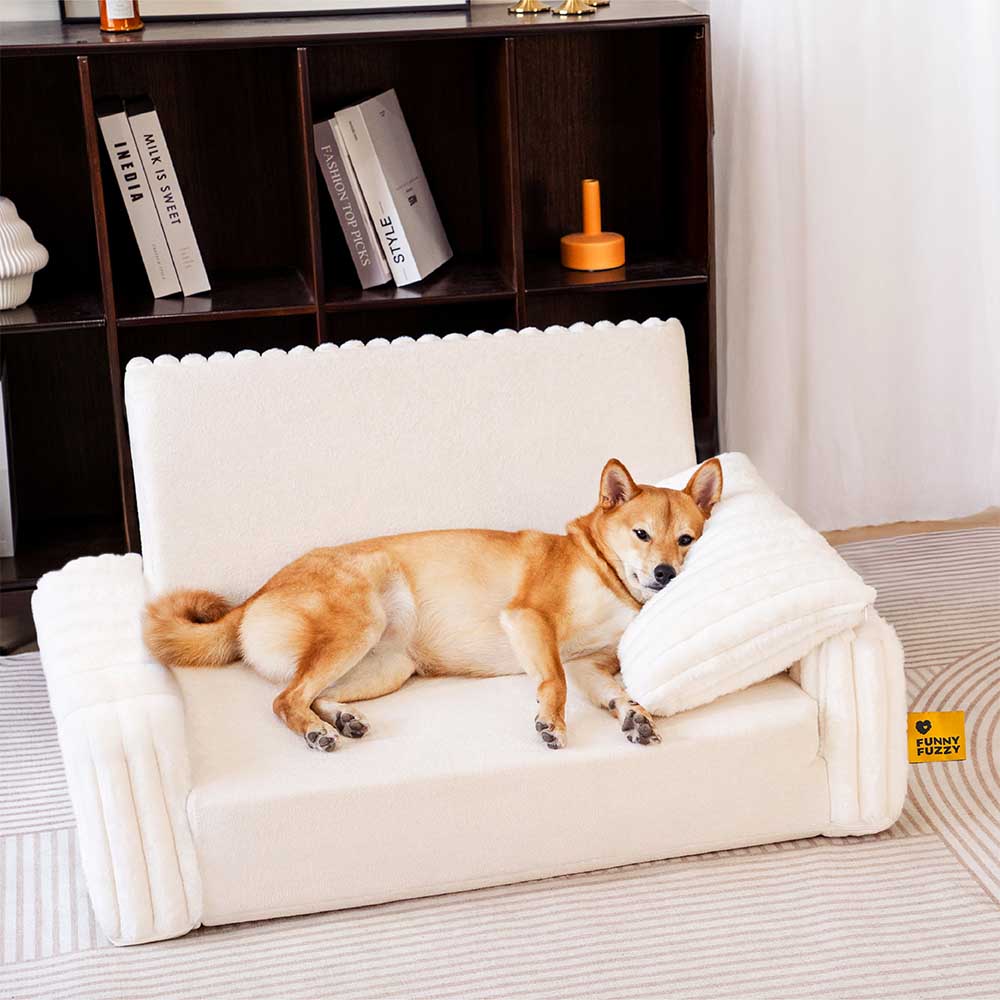 Cremig Flauschiges Orthopädisches Menschen-Hunde-Kissenbett - Erweiterbarer Komfort
