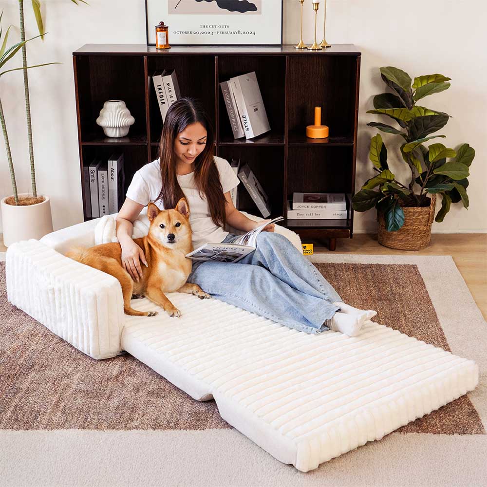 Cremig Flauschiges Orthopädisches Menschen-Hunde-Kissenbett - Erweiterbarer Komfort